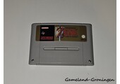 The Legend of Zelda A Link to the Past (HOL)
