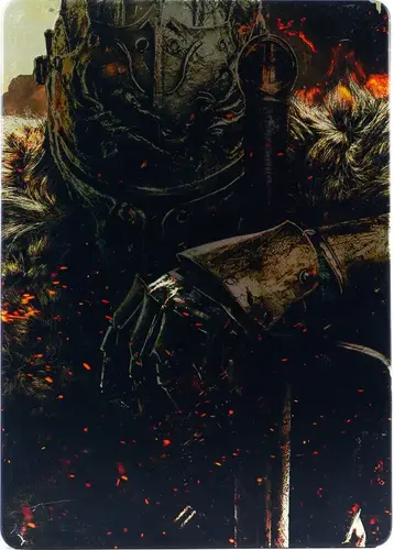Dark Souls 2 Steelbook (Compleet)