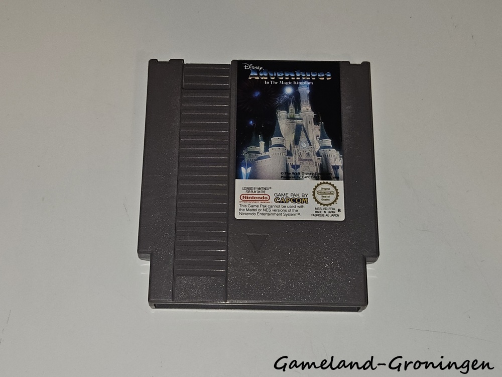 Disney's Adventures in the Magic Kingdom (FRA)