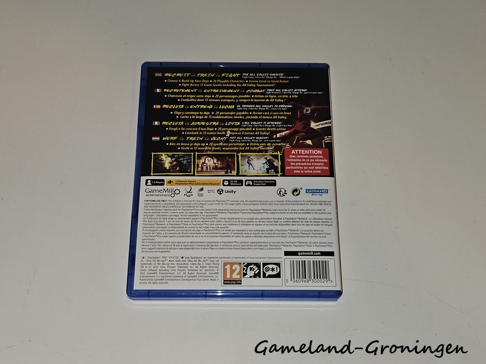 Cobra Kai 2 Dojos Rising (Compleet)