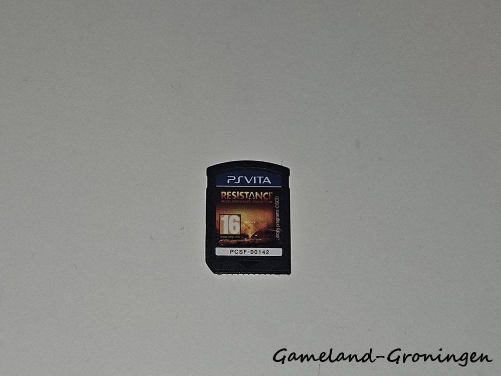 Resistance Burning Skies