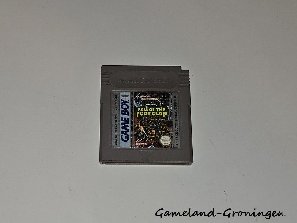 Teenage Mutant Hero Turtles Fall of the Foot Clan (FAH)