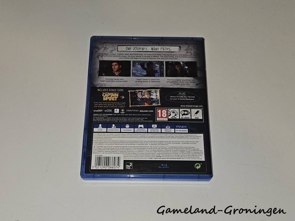 Life is Strange 2 (Compleet)