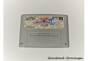 Breath of Fire II (Famicom)
