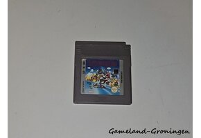 Super Mario Land (GPS)