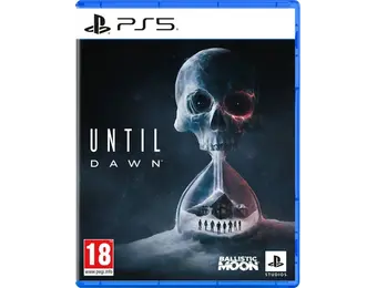 Until Dawn