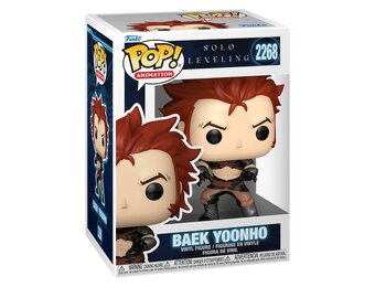 Solo Leveling POP! - Baek Yoonho #2268
