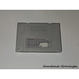 Street Fighter II (SCN)