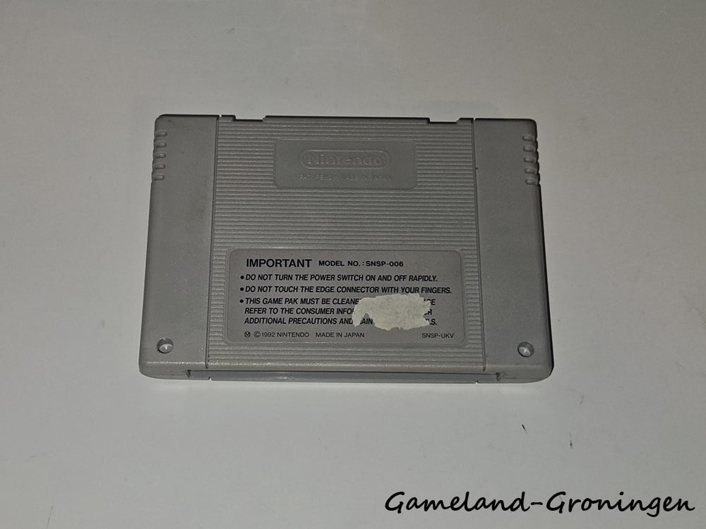 Street Fighter II (SCN)