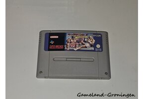 Street Fighter II Turbo (FAH)