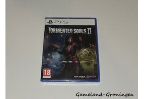 Tormented Souls 2