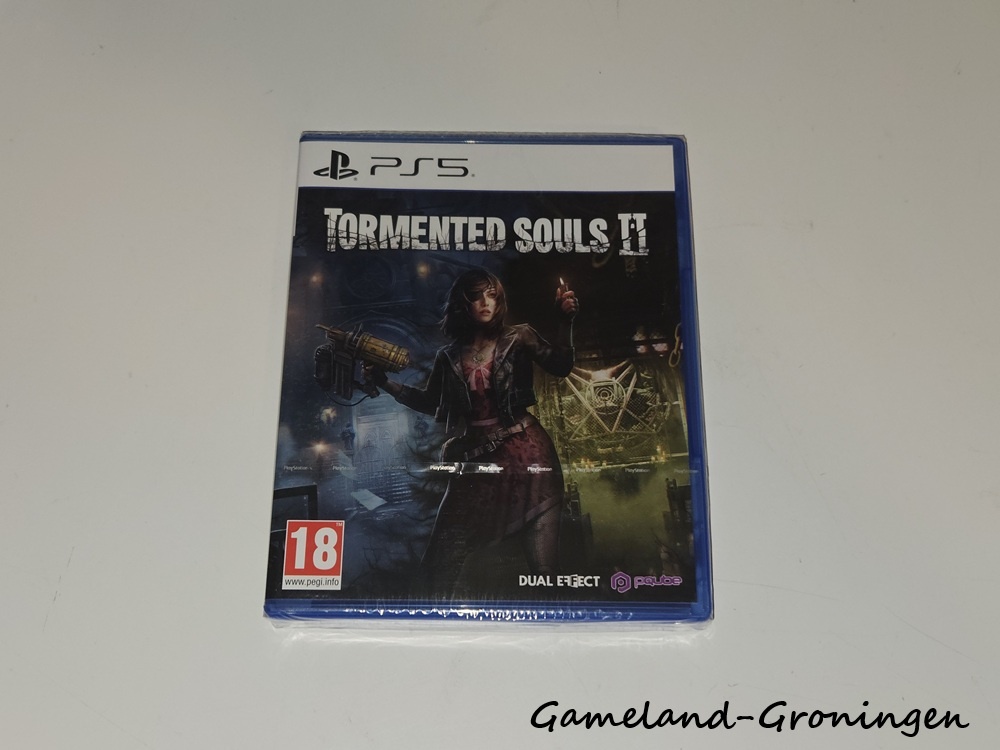 Tormented Souls 2