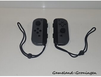 Joy-Con Controllers Paar Grijs