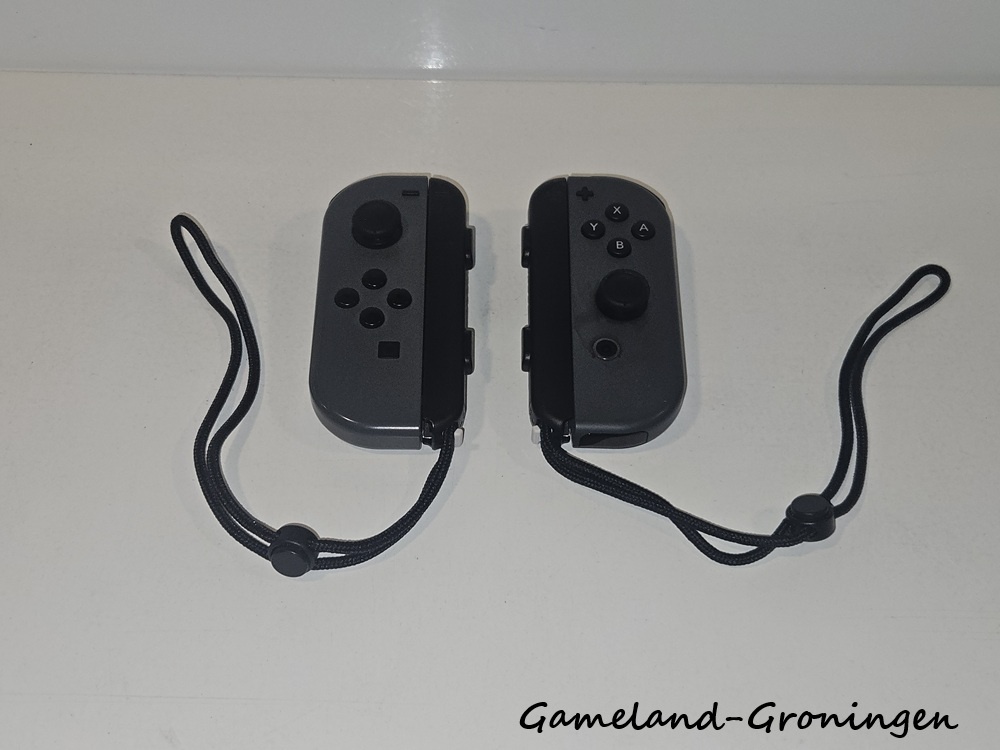 Joy-Con Controllers Paar Grijs