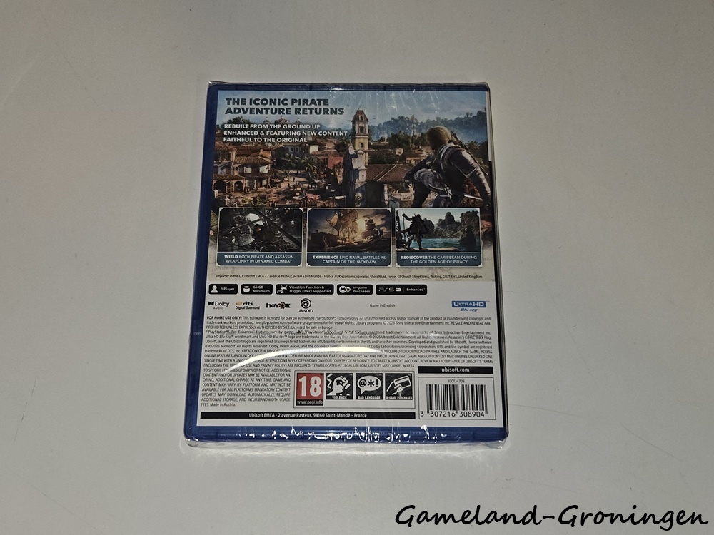 Assassin's Creed Black Flag Resynced