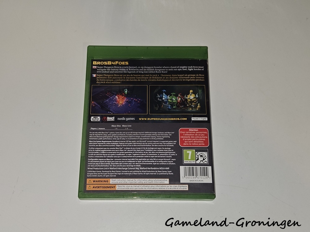 Super Dungeon Bros (Complete)