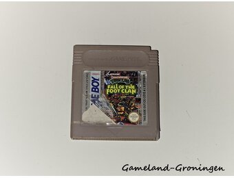 Teenage Mutant Hero Turtles Fall of the Foot Clan (FAH)
