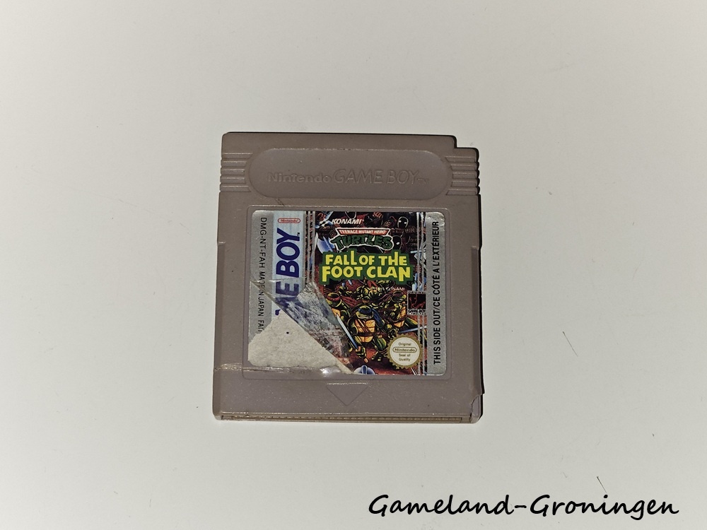 Teenage Mutant Hero Turtles Fall of the Foot Clan (FAH)