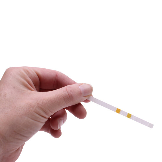 Interline spa en zwembad teststrips 25 stuks