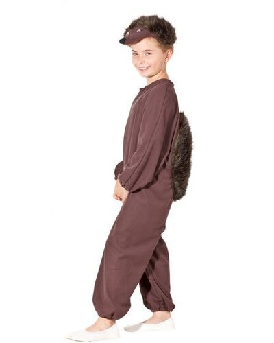 Magicoo Egel kostuum kind
