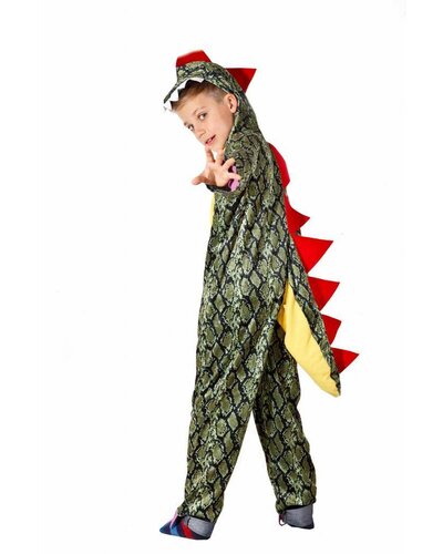 Magicoo Drakenpak kind