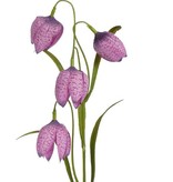 Fritillaria lavendel 4 bloemen en 3 sets met blad, 45cm