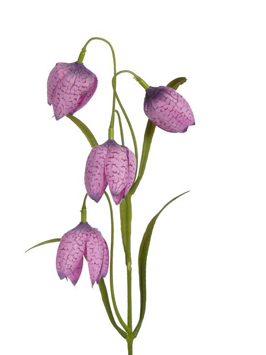 Fritillaria lavendel 4 bloemen en 3 sets met blad, 45cm