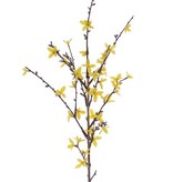 Forsythiatak  met 41 bloemen,  88 cm grijs/groene steel