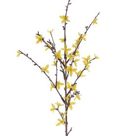 Forsythia branch with 41 flowers, 88 cm, grey-green stem