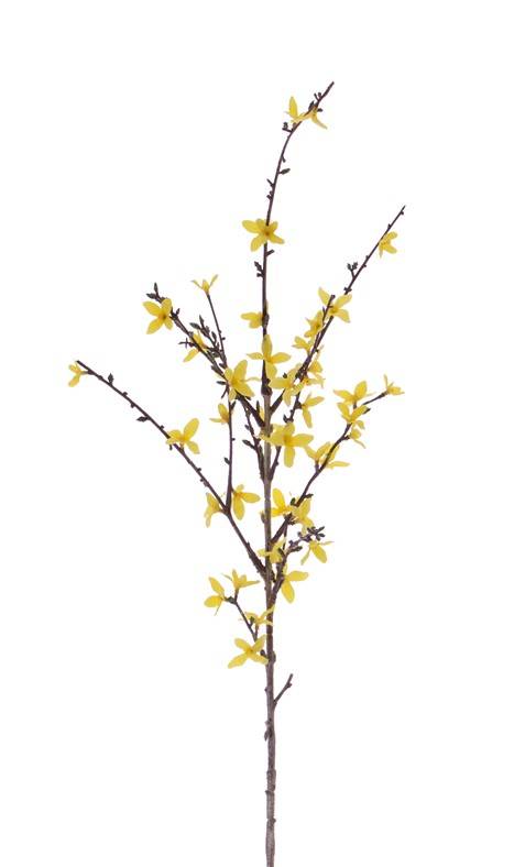 Forsythia branch with 41 flowers, 88 cm, grey-green stem