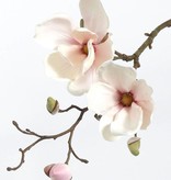 Magnolia, 2 flores, 4 capullos, 48cm