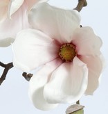 Magnolia, 2 flores, 4 capullos, 48cm