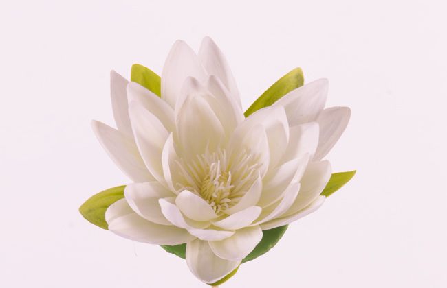 Lotusflower (Waterlily) "Floating Flora", x9petals, Ø 16cm, foam base