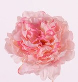 Peonyhead (Pioen) "Floating Flora" Ø 15cm, foam base