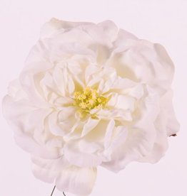 Rosehead (Rosa) open, "Floating Flora", Ø 15cm, foam base