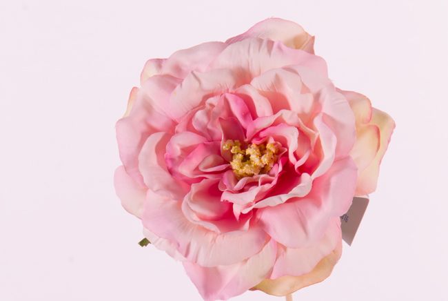 Rosehead (Rose) offen, "Floating Flora", x11petals, Ø 15cm, foam base