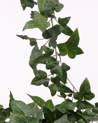 Hedera helix garland,  149 leaves, 180 cm, fire retardant