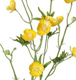 Meadow buttercup spray (Ranunculus Acris) , 12 flowers, 3 buds , 7 leaves, 68 cm