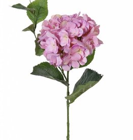 Hortensia "Spring Dream" 1 bloem, 10 bladeren, 78cm, Ø 15cm - ACTIE