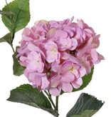 Hydrangea "Spring Dream" x1flr (96petals), x10lvs & vine, 78cm, Ø 15cm