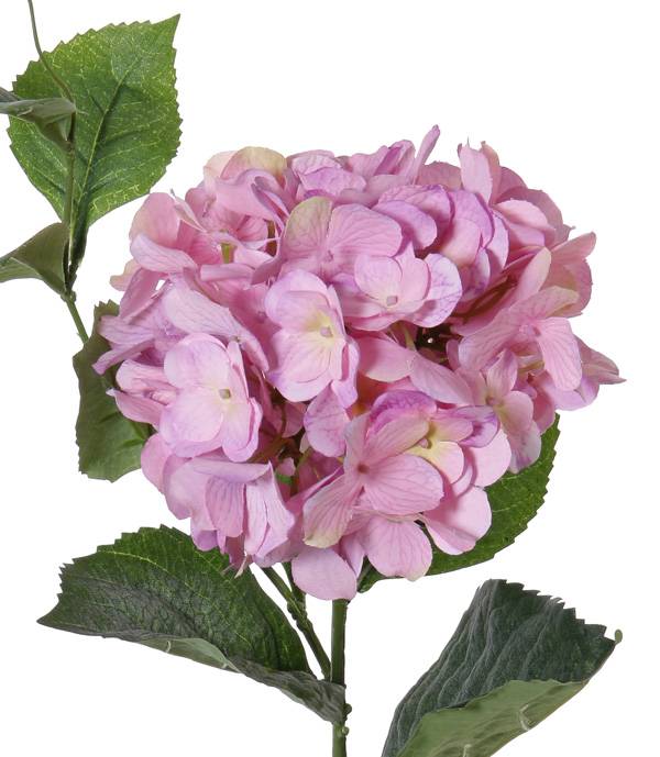 Hydrangea "Spring Dream" x1flr (96petals), x10lvs & vine, 78cm, Ø 15cm