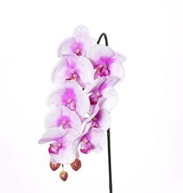 Phalaenopsis (Vlinderorchidee) "Natural touch" x9 blm & 3 knp (polyfoam), 43cm