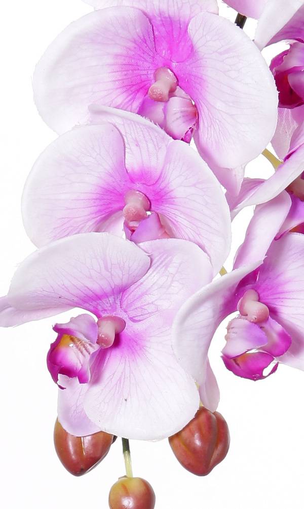 Phalaenopsis (Vlinderorchidee) "Natural touch" x9 blm & 3 knp (polyfoam), 43cm