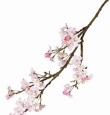 Apple blossom large, 104cm