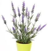 Artificial lavender (Lavandula) bush, 76 lvs. & 19 flowers (8cm), UV safe, full plastic, 45cm