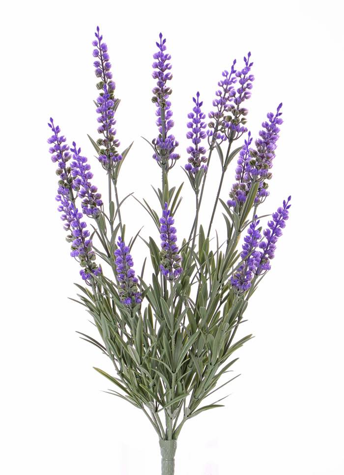 Lavendel (Lavandula) met 76 bladeren & 19 bloemen (8cm), UV bestendig, 45cm