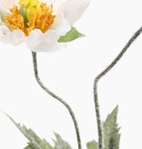 Poppyflower, x1 flr & 1 bud, flocked leaves & stem, 40cm