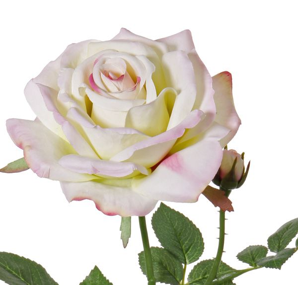 Rose de luxe "Fleuri", Ø 12cm, 1 bud, 20 leaves, 70cm