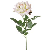 Rosa de luxe "Fleuri" ,1 flor, Ø 12cm, 1 capullo, 20 hojas, 70cm