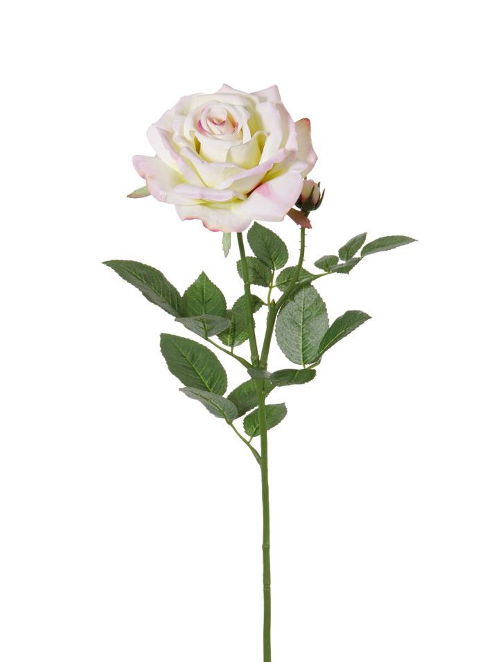 Rosa de luxe "Fleuri" ,1 flor, Ø 12cm, 1 capullo, 20 hojas, 70cm